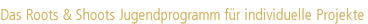 Das Roots & Shoots Jugendprogramm für individuelle Projekte