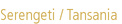 Serengeti / Tansania